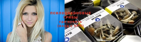PSILOCYBIN Воткинск