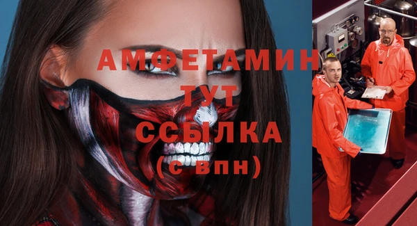 шишки Снежинск