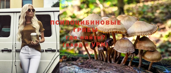 а пвп мука Осташков