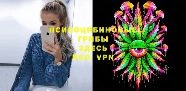 PSILOCYBIN Слюдянка