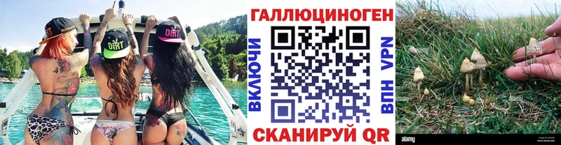 Галлюциногенные грибы MAGIC MUSHROOMS  кракен онион  Калязин 